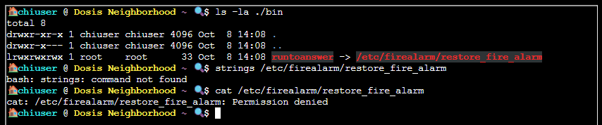 Looking at the bin folder