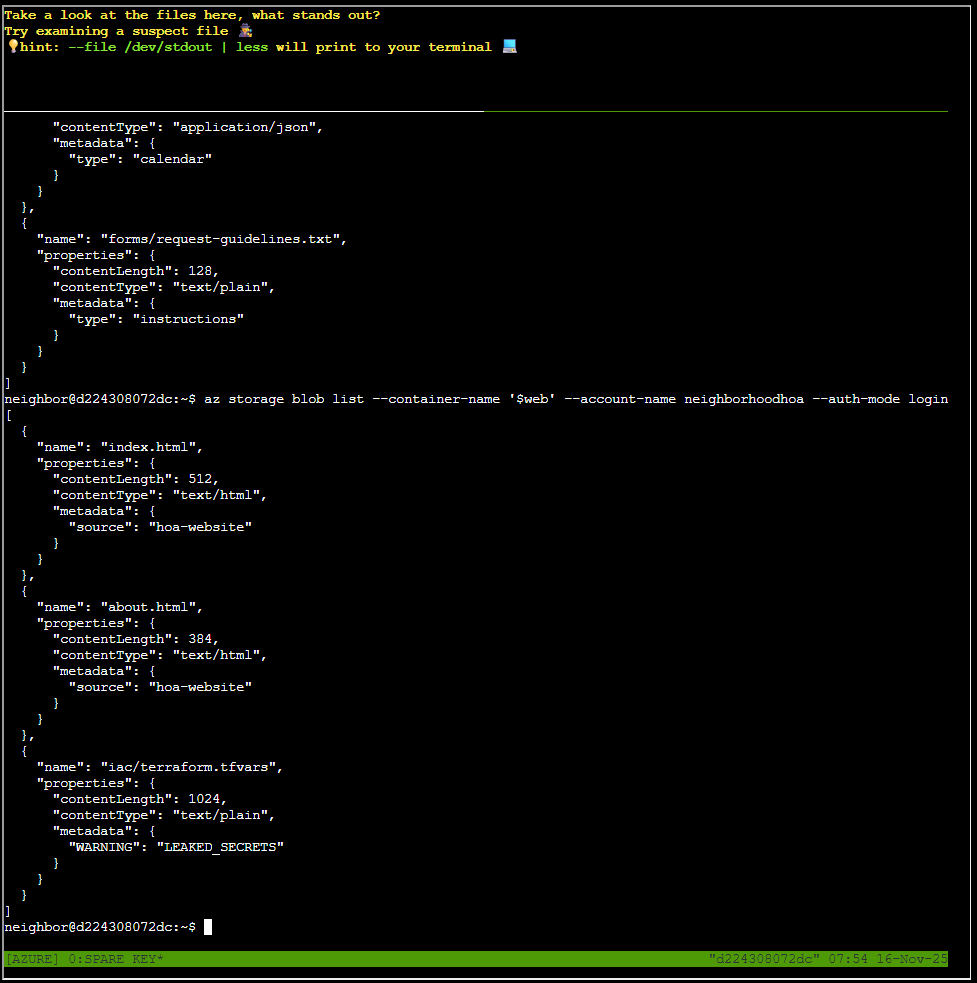 Examining static website container
